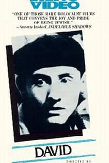 David (1979) afişi