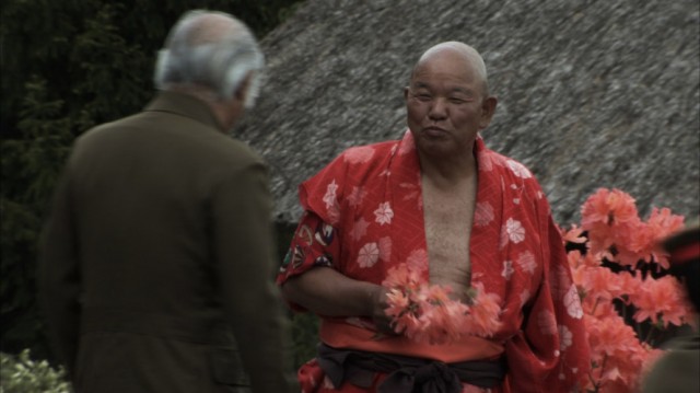 Caterpillar Fotoğrafı