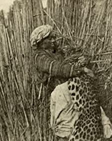 The Vengeance Of The Fakir (1912) afişi