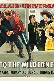 ınto The Wilderness (1914) afişi