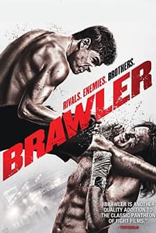 Brawler (2011) afişi