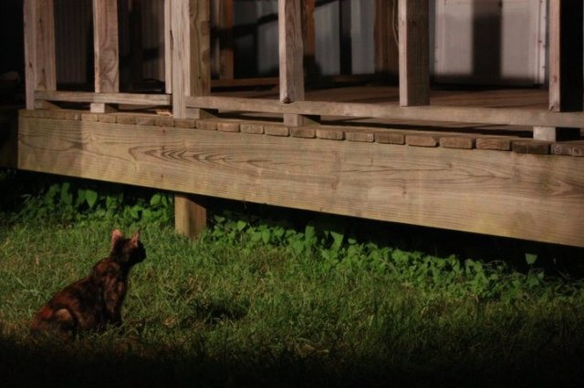 Where I Begin Fotoğrafı