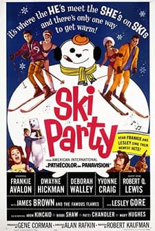 Kayak Partisi (1965) afişi