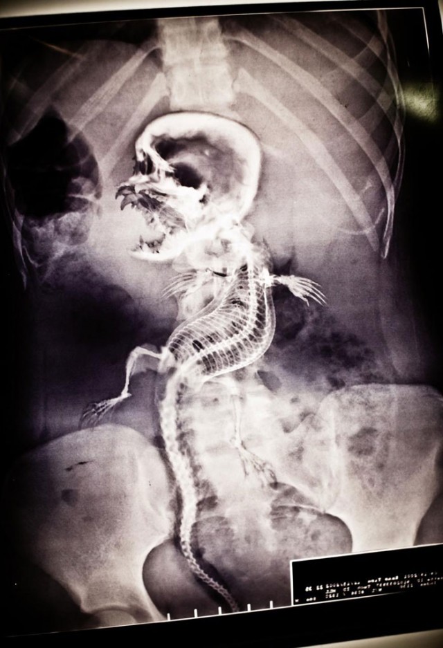 Saklı Ruh Fotoğrafı