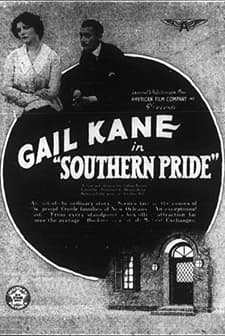 Southern Pride (1917) afişi