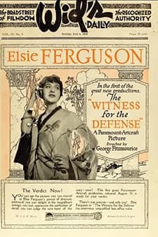 The Witness For The Defense (1919) afişi