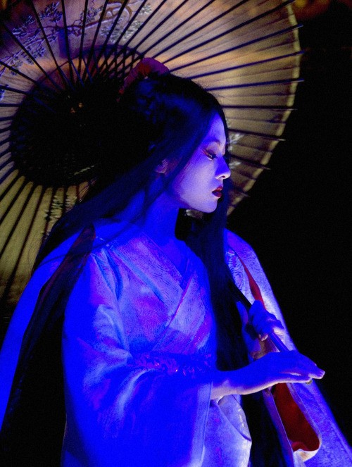 Bir Geyşanın Anıları fotoğrafı