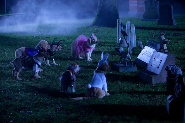 Spooky Buddies Fotoğrafı