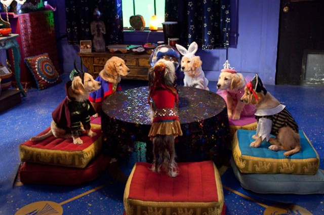 Spooky Buddies Fotoğrafı