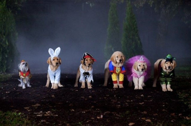 Spooky Buddies Fotoğrafı