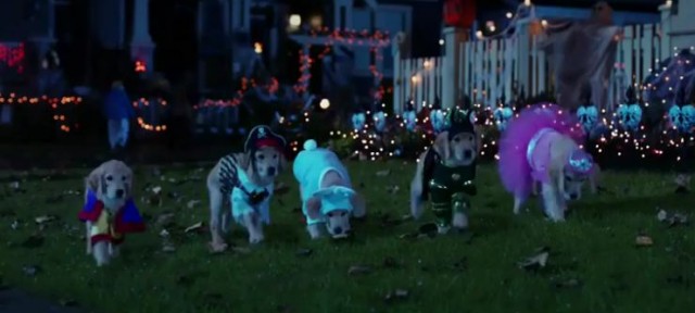 Spooky Buddies Fotoğrafı