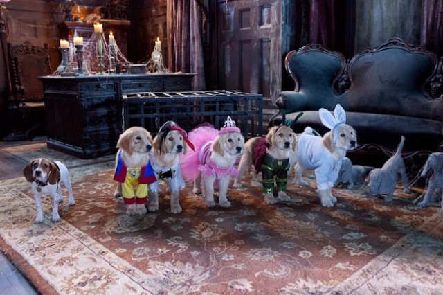 Spooky Buddies Fotoğrafı