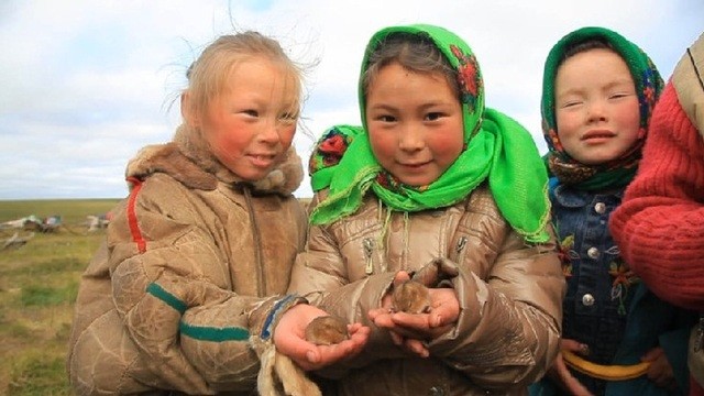 The Final Tundra Fotoğrafı