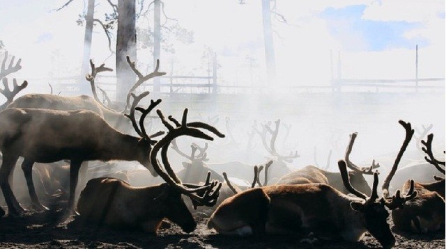 The Final Tundra Fotoğrafı