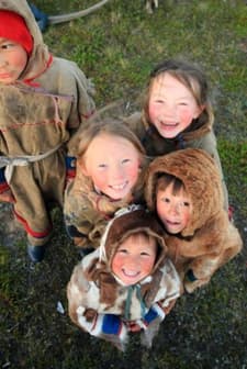 The Final Tundra (2011) afişi