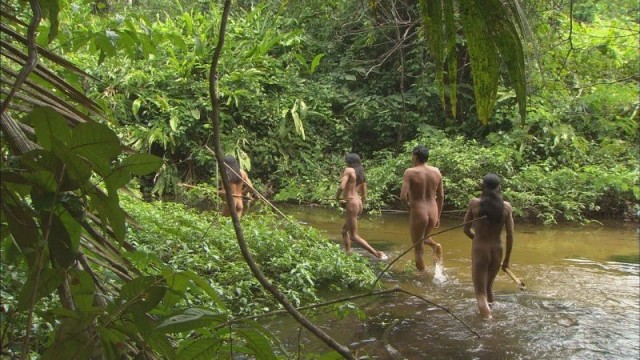 Amazon'un Gözyaşları Fotoğrafı