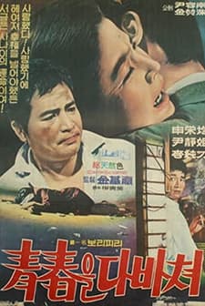 Cheongchuneul Dabachyeo (1969) afişi