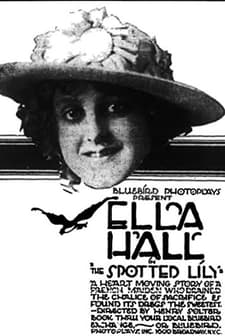 The Spotted Lily (1917) afişi