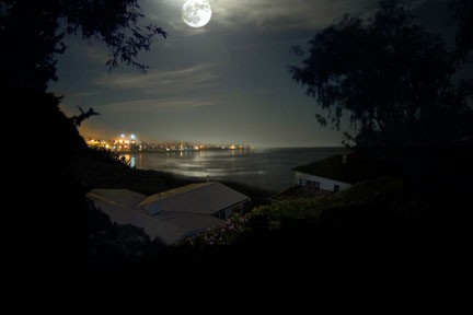 Strangers Online Fotoğrafı