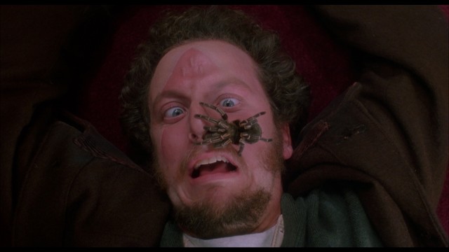 Evde Tek Başına Fotoğrafı