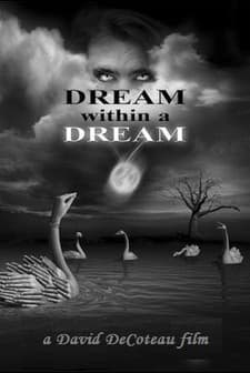 Rüya Içinde Rüya (2011) afişi