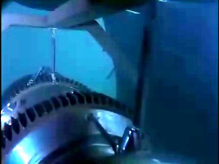 Frogmen Operation Stormbringer Fotoğrafı