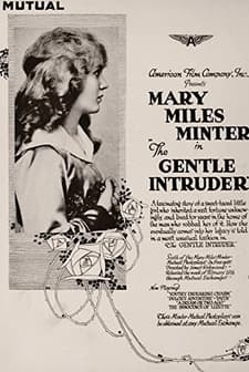 The Gentle ıntruder (1917) afişi