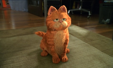 Garfield Fotoğrafı