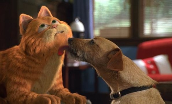 Garfield fotoğrafı