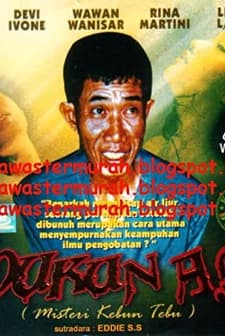 Misteri Kebun Tebu (1997) afişi