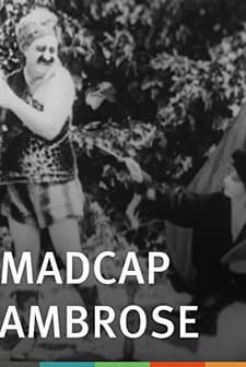 Madcap Ambrose (1916) afişi