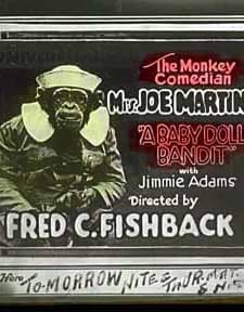 A Baby Doll Bandit (1920) afişi