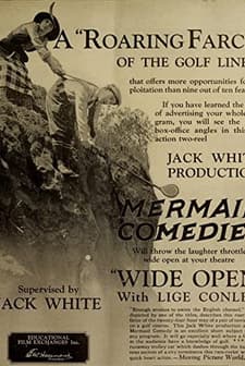 Wide Open (1924) afişi