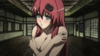 Hyakka Ryōran Samurai Girls Fotoğrafı