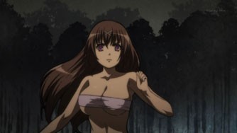 Hyakka Ryōran Samurai Girls Fotoğrafı