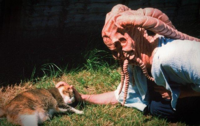 L. V. J. fotoğrafı