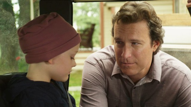 November Christmas Fotoğrafı