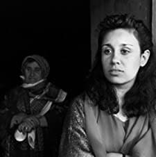 De Zwijgende Reiziger (1994) afişi