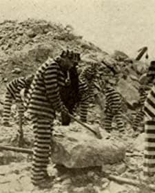 The Adventures Of Lieutenant Petrosino (1912) afişi