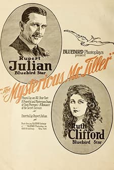 The Mysterious Mr. Tiller (1917) afişi