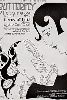The Circus Of Life (1917) afişi