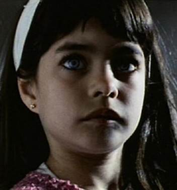 Kelebek Kanatları fotoğrafı