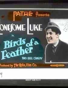 Birds of a Feather (1917) afişi