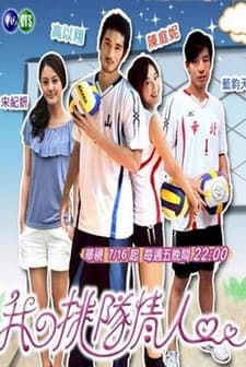 Volleyball Lover (2010) afişi