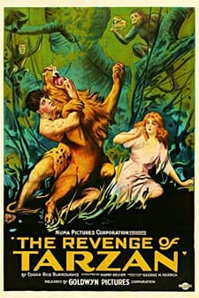The Revenge Of Tarzan (1920) afişi