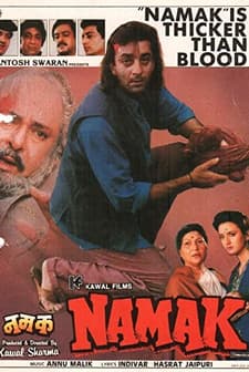 Namak (1996) afişi
