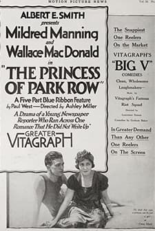 The Princess Of Park Row (1917) afişi