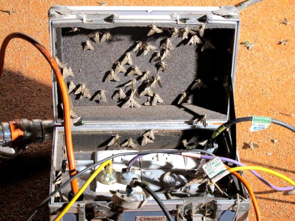 Thirst (ııı) fotoğrafı