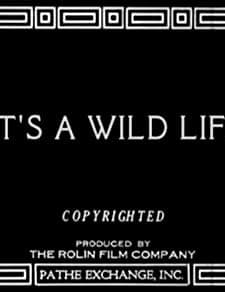 ıt's A Wild Life (1918) afişi
