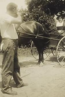 Bunny Backslides (1914) afişi